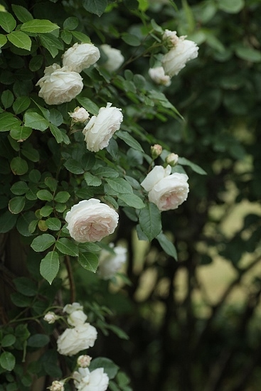 e0209997_1283710.jpg
