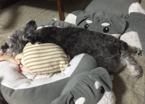b0188998_22062867.jpeg