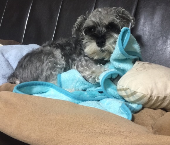 b0188998_22075627.jpeg