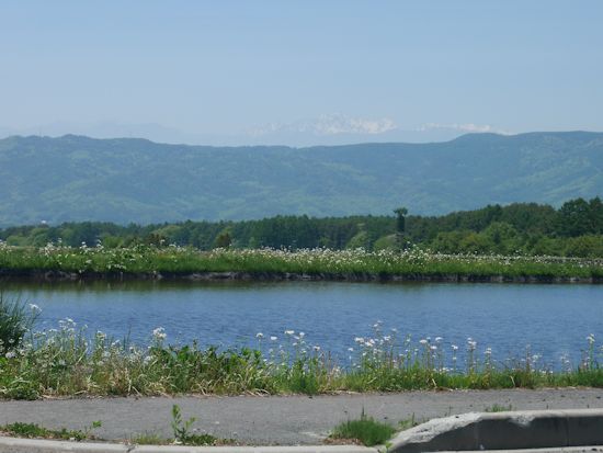 c0090198_21143577.jpg