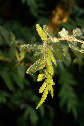a0061599_7483017.jpg