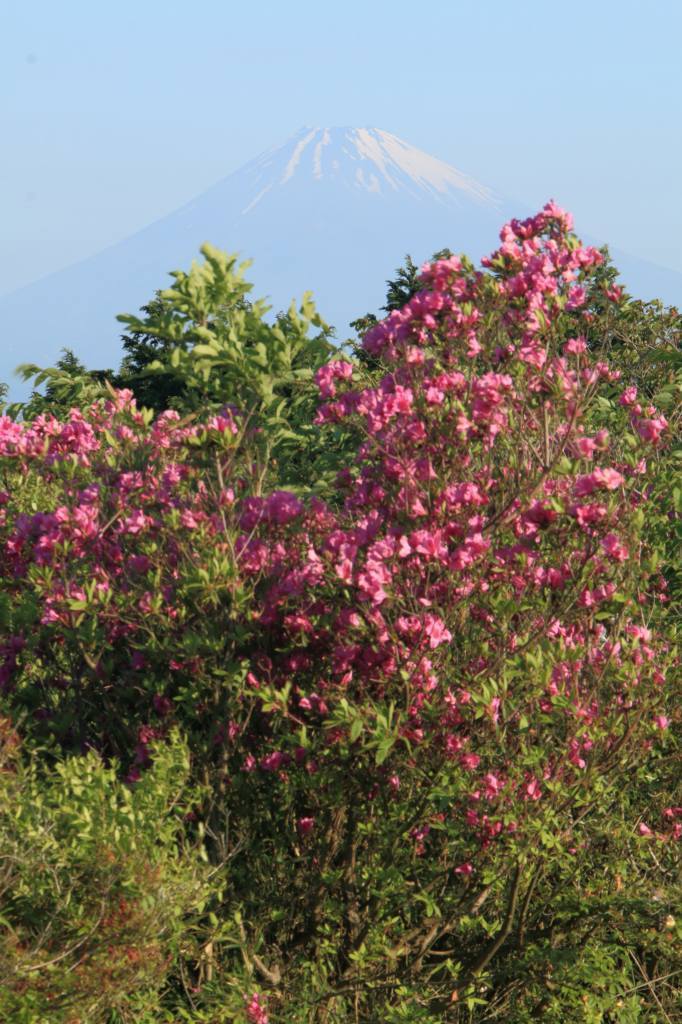a0188405_22432507.jpg