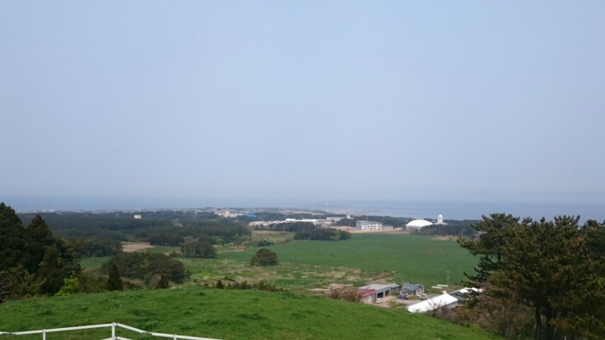 d0149105_12114067.jpg