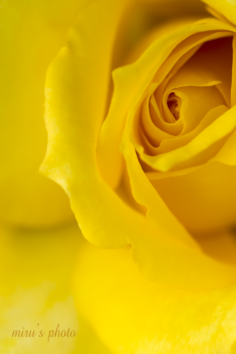 c0037519_7191690.jpg