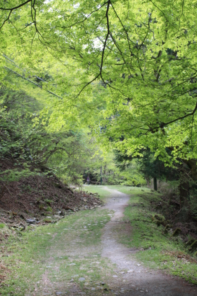 f0162319_11320567.jpg