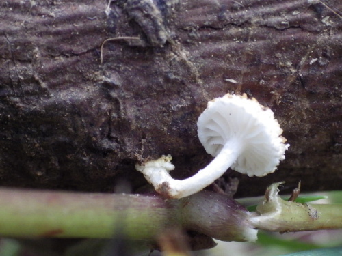 e0352220_21152562.jpg