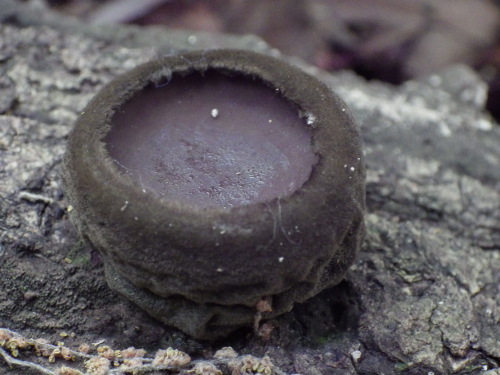 e0352220_21230447.jpg