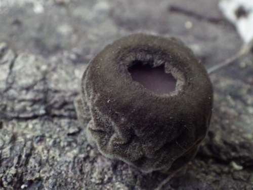 e0352220_21233630.jpg
