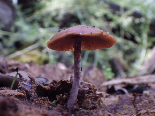 e0352220_21274650.jpg