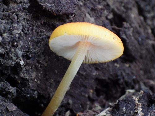 e0352220_21401522.jpg