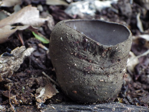 e0352220_21453133.jpg