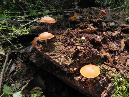 e0352220_21555553.jpg