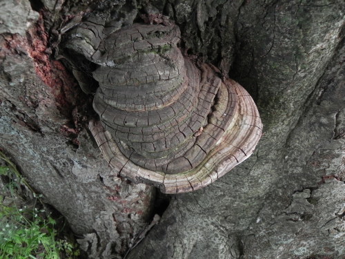 e0352220_22064319.jpg