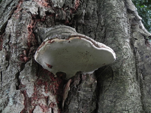 e0352220_22070904.jpg
