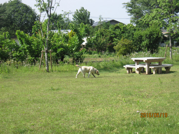 e0244621_21402155.jpg