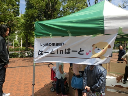 a0105023_6322550.jpg