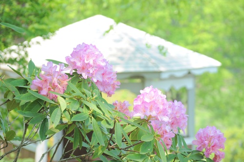 a0248728_203055100.jpg