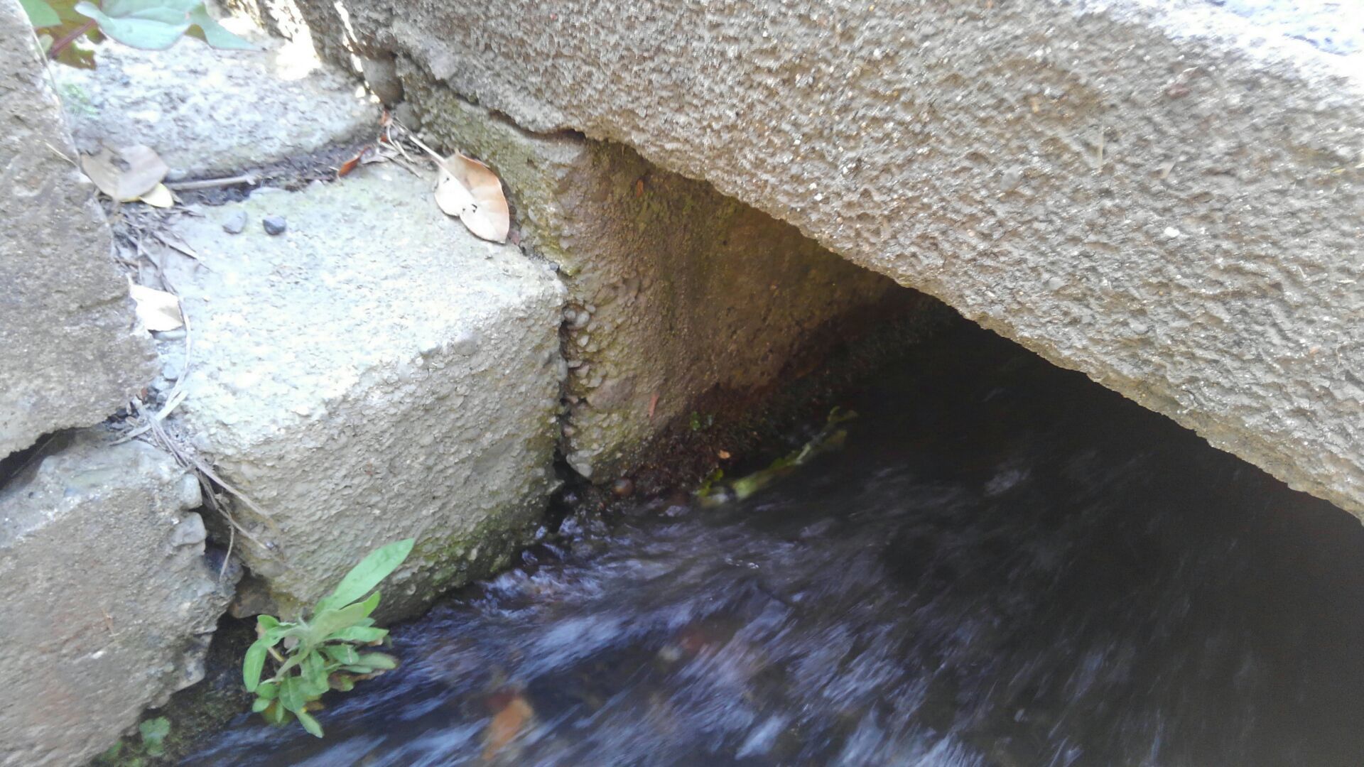 f0111128_15375378.jpg