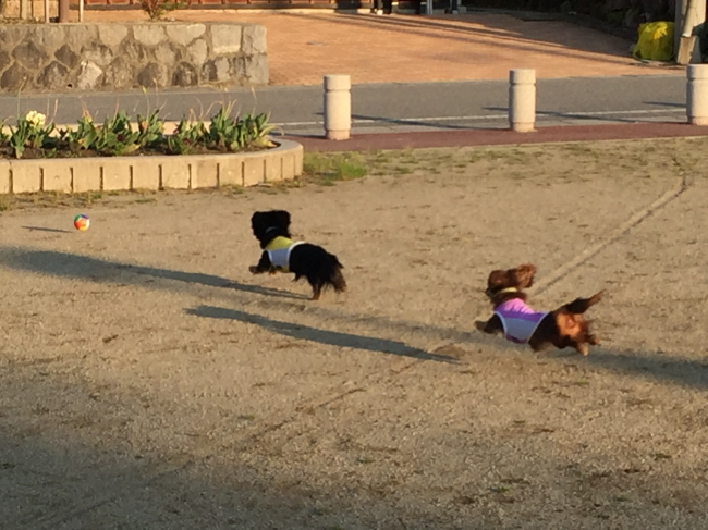 c0117831_1517616.jpg