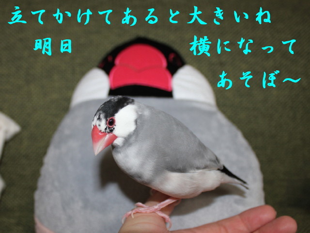 c0365734_21183938.jpg