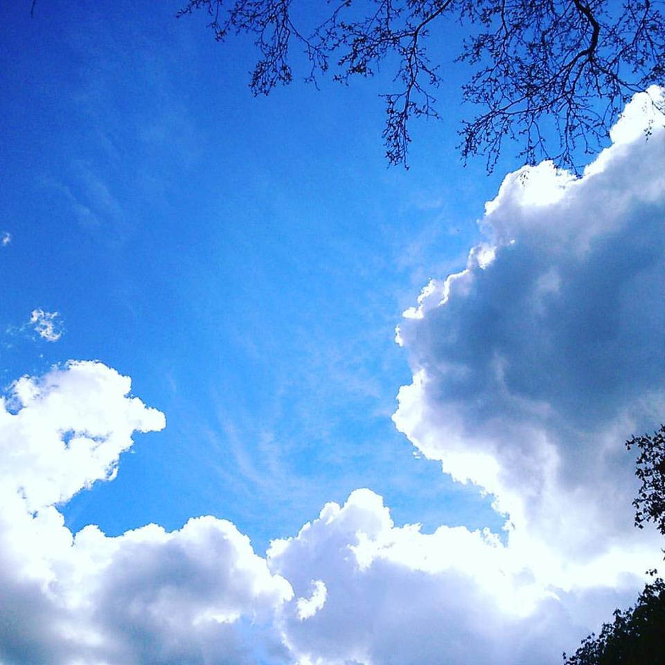 b0167736_5302322.jpg
