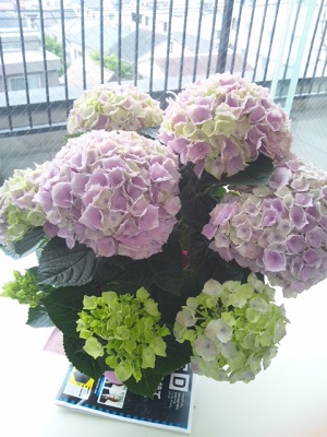c0033636_701166.jpg