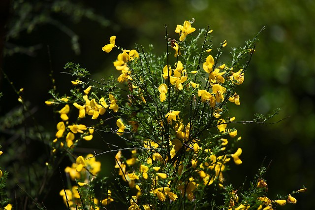 a0242438_1935291.jpg