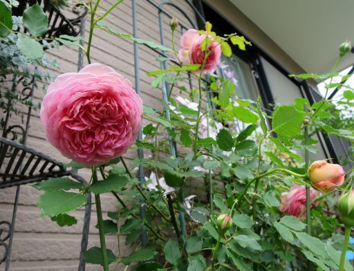 b0178339_23514980.jpg