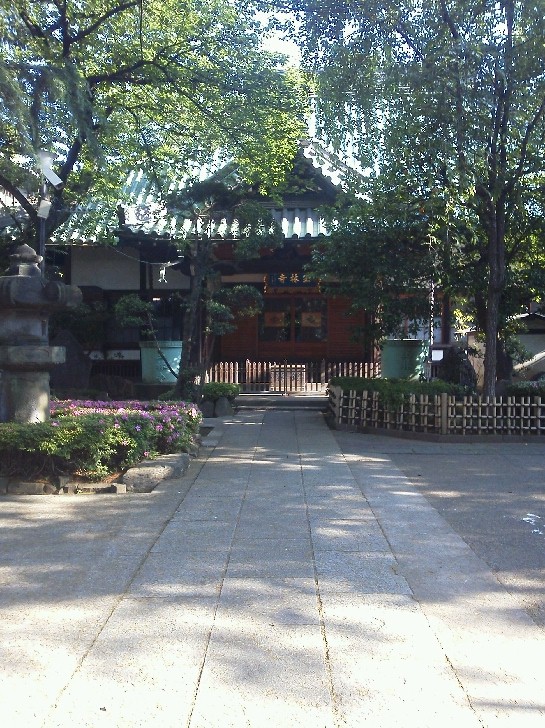 b0031140_21151644.jpg