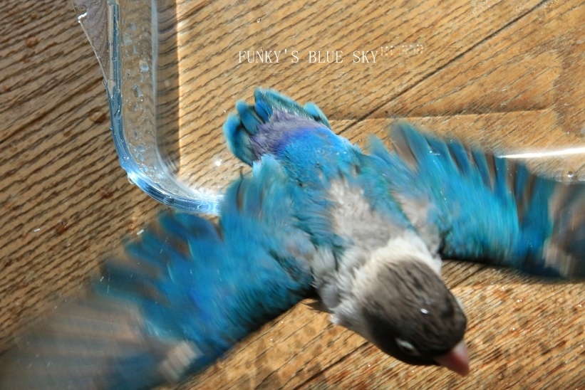 c0145250_11103945.jpg