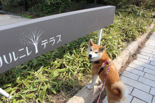 f0245650_08172284.jpg