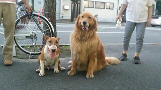 c0073152_22154377.jpg