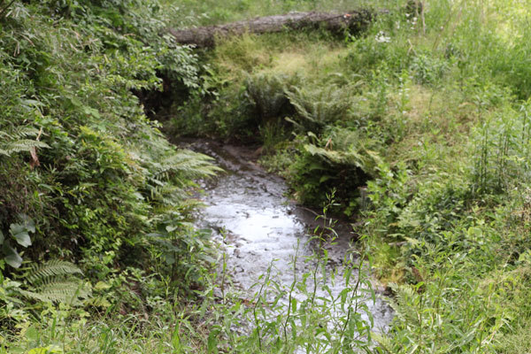 a0352853_21570735.jpg