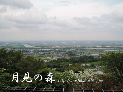 a0286855_6362571.jpg