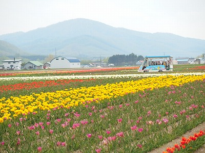 e0004756_21145728.jpg