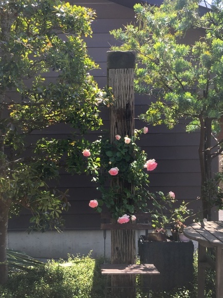 c0120363_07244173.jpeg