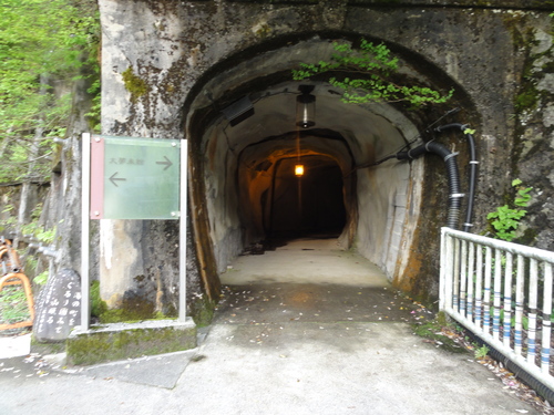 d0029363_1130160.jpg