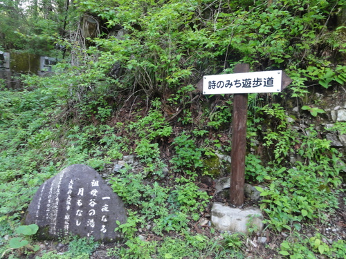 d0029363_11312322.jpg