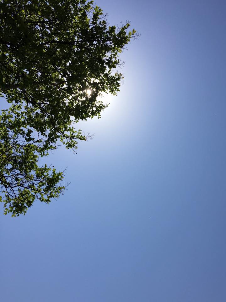 e0111365_1355365.jpg