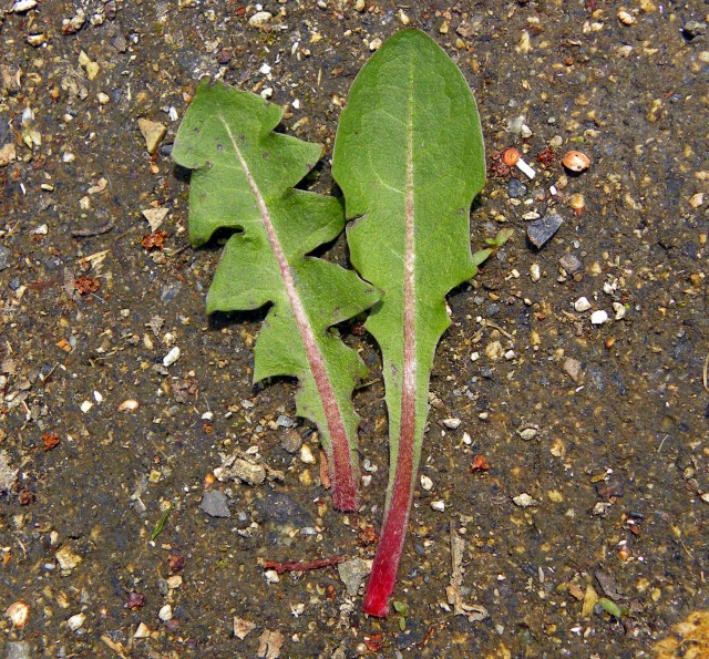 e0122168_23272043.jpg