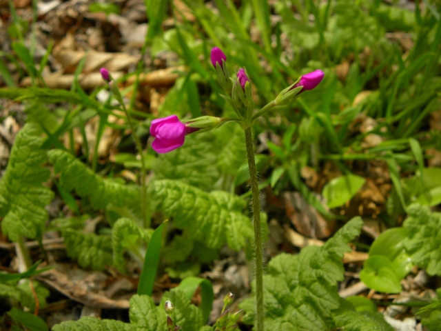 e0122168_23372282.jpg