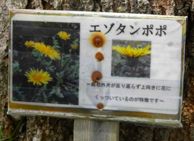 e0122168_23424958.jpg
