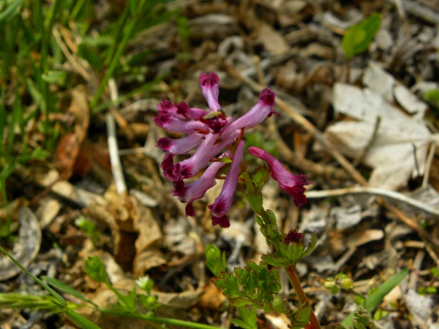 e0122168_23461036.jpg