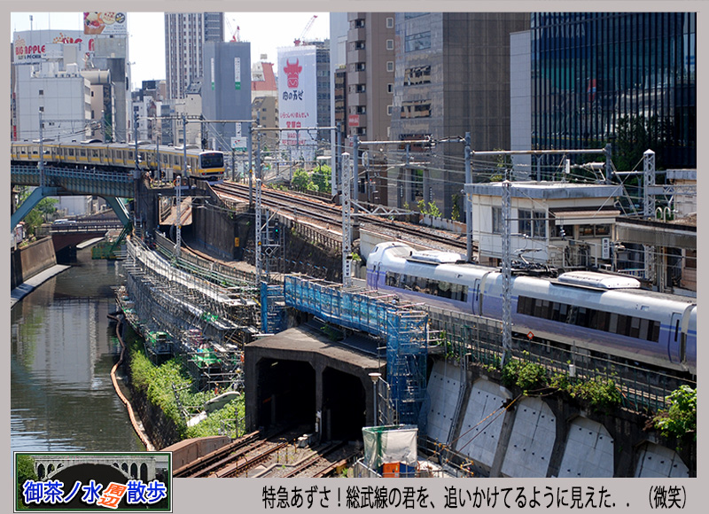 c0009981_55155100.jpg