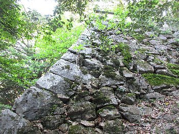 f0003283_09413527.jpg