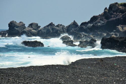 c0204385_13454926.jpg