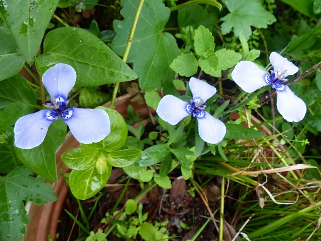 f0357487_22272862.jpg