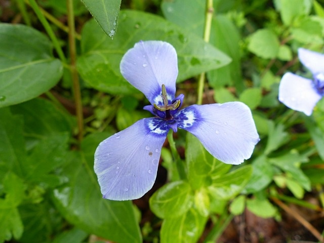 f0357487_22274631.jpg