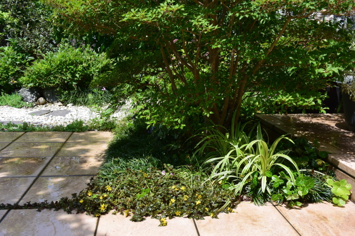 b0230589_15315660.jpg