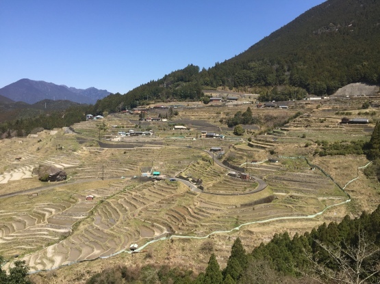 e0307890_10511685.jpg